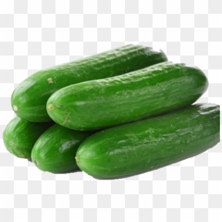 Cucumber Png Transparent Images - Cucumber Lebanese Clipart