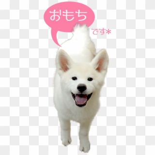 The Dog Contact Corps Omochi That I Got Tired Of - Dog Yawns Clipart