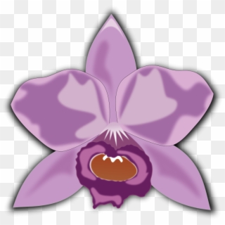 Pink Spring Flower Png Clipart - Cattleya Clipart Transparent Png