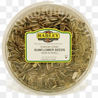 Sunflower Seeds Raw In Shell - Hadley Fruit Orchards Clipart
