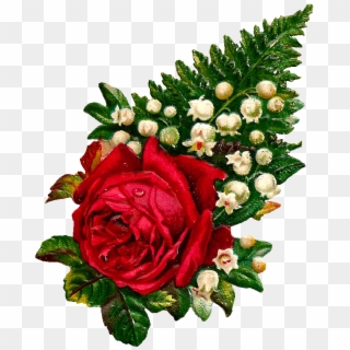 What A Beautiful Digital Red Rose Graphic I Love This Clipart