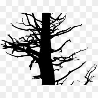 Trunk Clipart Dry Tree - Dead Tree Silhouette Png Transparent Png