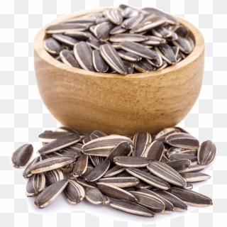 Sunflower Seeds Come From, Of Course, Sunflowers - Sunflower Seed Clipart