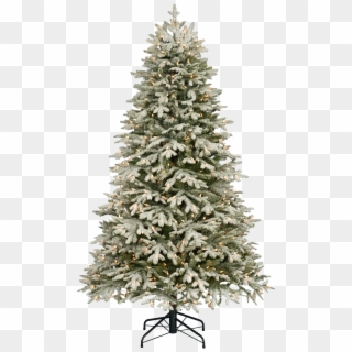 Christmas Tree - Merry Christmas 2019 Words Clipart
