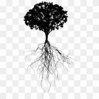 Download Free Png With - Tree With Roots Silhouette Clipart