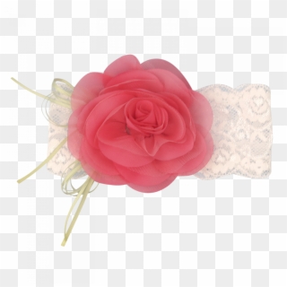 Cream Headband In Lace With Flower - Garden Roses Clipart