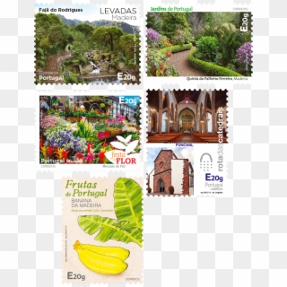 Madeira Self-adhesive - Botanical Garden Clipart