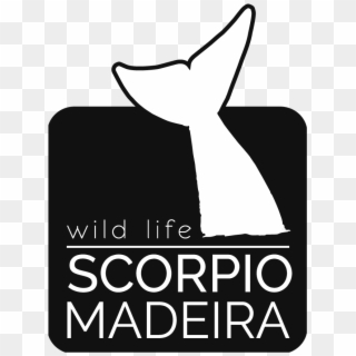 Madeira Wild Life - Illustration Clipart