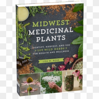 Wild Medicinal Plants Clipart