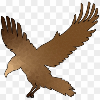 Crow Flight Bronze Wings Raven Bird Feather - Buzzard Clipart