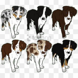 Free Png Australian Shepherd Drawing Easy Png Images - Drawings Of Puppys Australian Shepherd Clipart