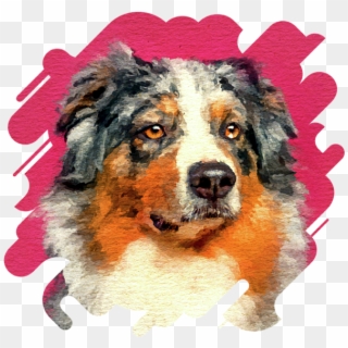 Click And Drag To Re-position The Image, If Desired - Australian Shepherd Watercolor Clipart