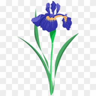Grab This Free Summer Flower Clip Art - Blue Iris Flower Clip Art - Png Download