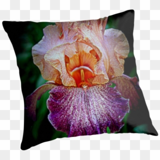 Vibrant Iris Flower - Cushion Clipart