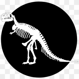 Tyrannosaurus Rex Skeleton By Steph J - Tyrannosaurus Clipart