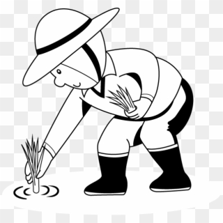 Rice Plant Colouring Pages - Biparental Mating Clipart