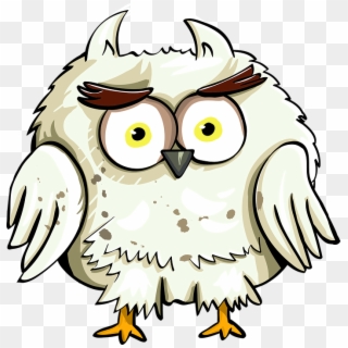 Owl Bird Eyes Cartoon Good Character Cute Animal - Harry Potter Fan Art Clipart