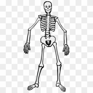 Decoración Para Halloween - Esqueleto Para Decorar Halloween Clipart
