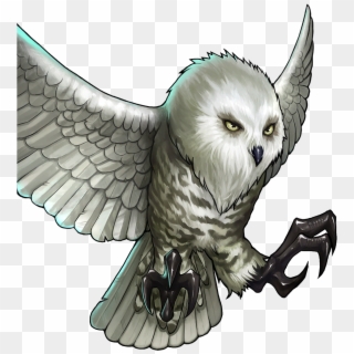 Artwork - - Snowy Owl Transparent Owl Clipart