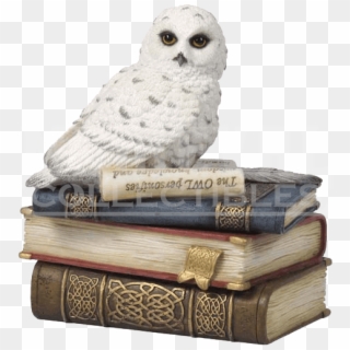Owl On Books Clipart