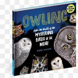 Owling By Mark Wilson Clipart