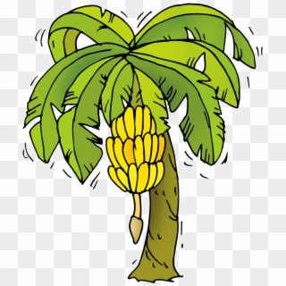 Banana Tree Cartoon Png - Banana Tree Clipart Png Transparent Png