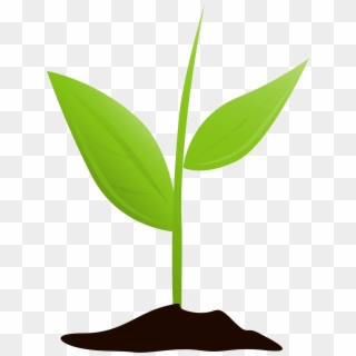Growing Plant Mtq Clipart