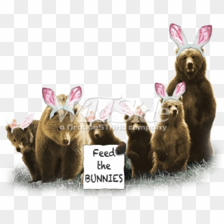 Feed The Bunnies - Domestic Rabbit Clipart