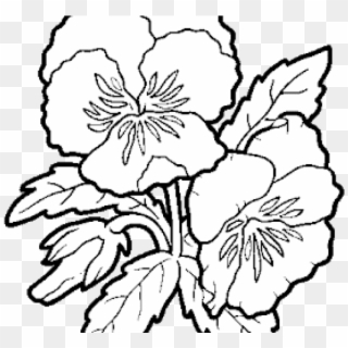 Download By Size - Colorless Flower Clipart