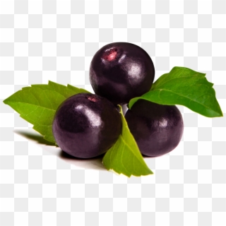 Egészséges És Finom - Acai Berries Clipart