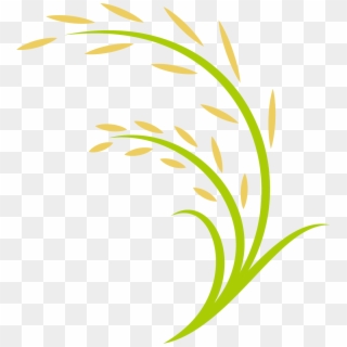 Rice Computer File - Transparent Paddy Field Clipart - Png Download