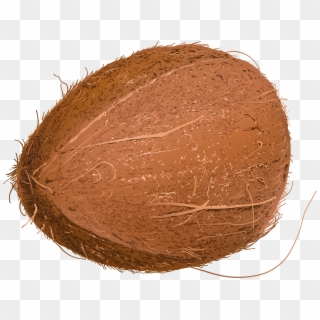 Cocoa Bean Clipart Coco - Portable Network Graphics - Png Download