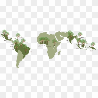 About Bean & Co - Italy To Philippines Map Clipart