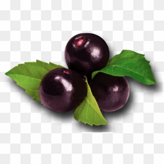 Acai Berries , Png Download - Transparent Acai Berries Png Clipart