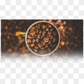 Freshly Roasted Coffee - Fresh Roasted Coffee Png Clipart