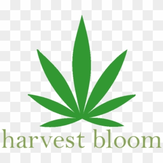 Harvest Bloom Medical Marijuana Delivery Service [interview] - Marijuana Delivery Service Logo Clipart