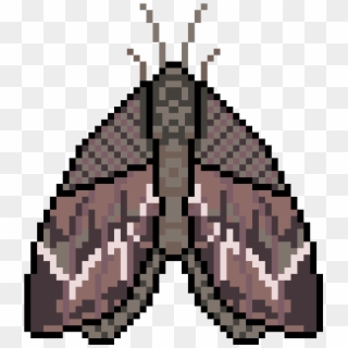 Moth V4 - Illustration Clipart