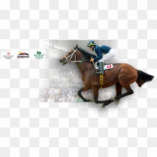 Cusiconage - Belmont Stakes Clipart