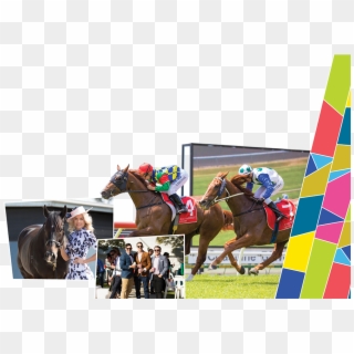 Home - Flat Racing Clipart
