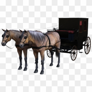 Carriage Horse Drawn Wagon Horses Animals Coach - Stallion Clipart