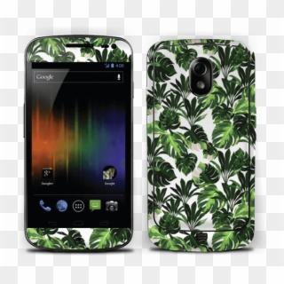 Hojas Verdes - Samsung Galaxy Nexus Clipart