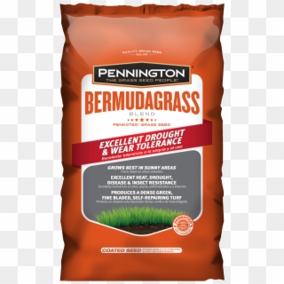 Pennington Bermudagrass Blend - Lawn Clipart