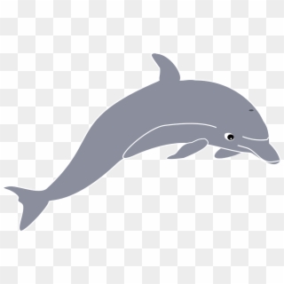 Dolphin Clip Art - Png Download