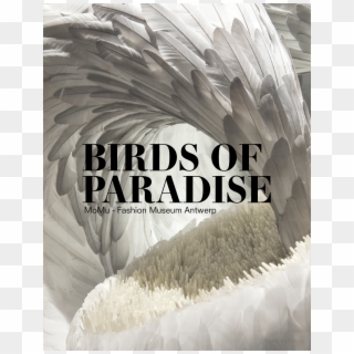 Birds Of Paradise - Hagoromo Nathan Davis Clipart