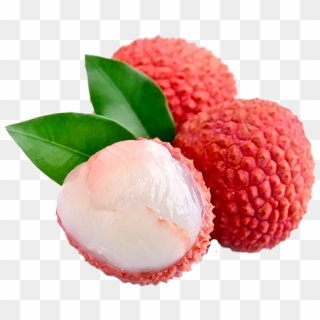 Lychee Clipart