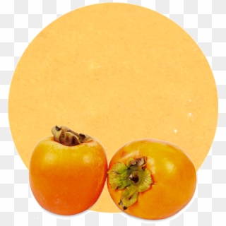 Kaki Puree - Plum Tomato Clipart