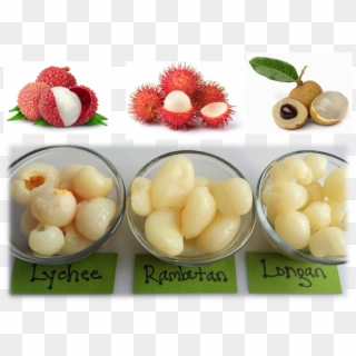 Lychee Has More Is Similar In That It Is Red, But There - Rambutan Clipart