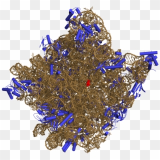 50s-subunit Of The Ribosome 3cc2 - Ribosomes Png Clipart