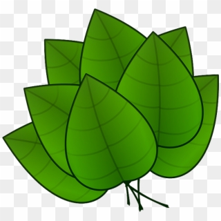 Folha Em Png - Parts Of Plants Leaves Clipart