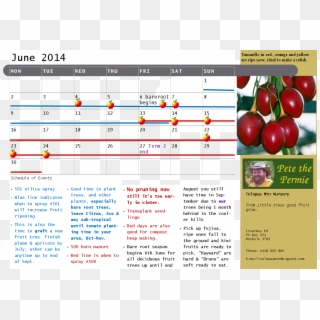 Calendar Example June 2014 02 Jan 2017 - Tree Tomato Clipart